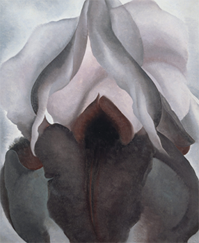 Georgia O'Keeffe - Black Iris