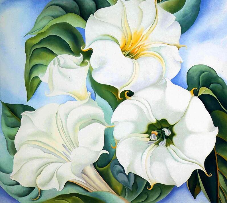 Georgia O'Keeffe - Jimson Weed